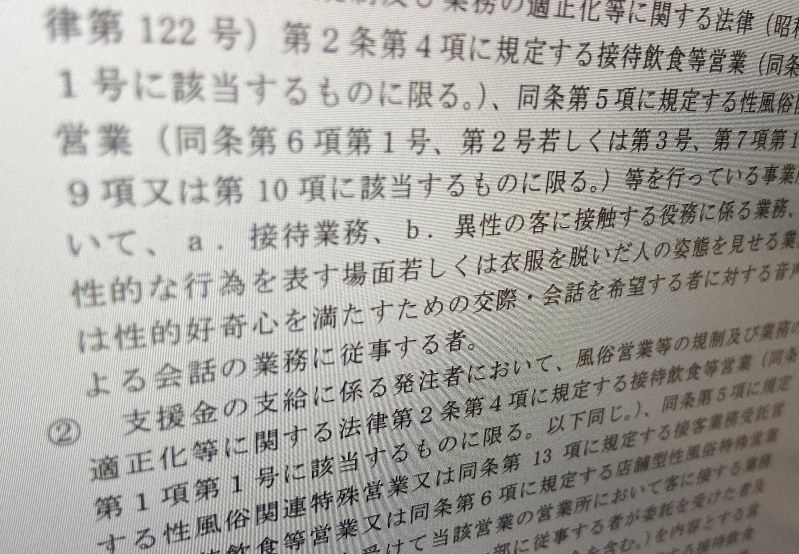 不支給要件を示す項目