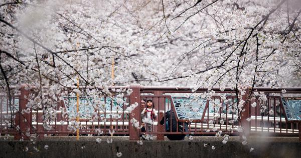ズン、photographer