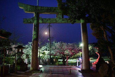 宮地嶽神社から見えた満月＝福岡県福津市の宮地嶽神社で２０２０年４月８日午前５時１９分、須賀川理撮影