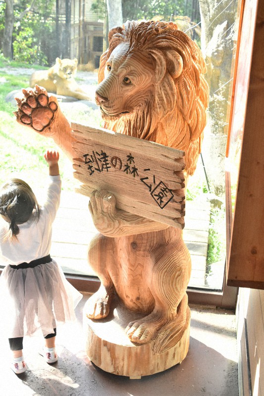 ライオン舎で来園者を迎える木彫りの「リアン」像。奥は雌ライオン「ライ」=北九州市の到津の森公園で、成松秋穂撮影