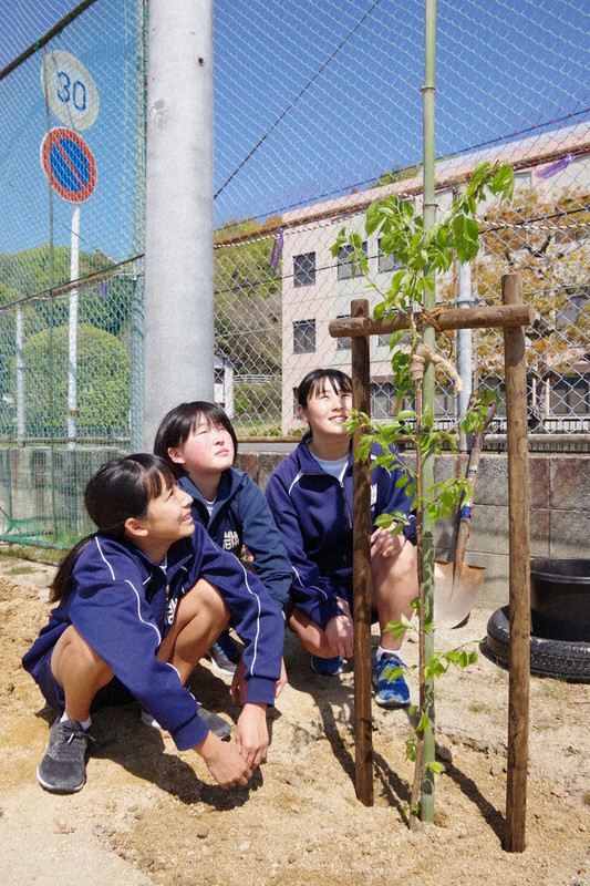植樹した桜の苗木を見つめる岩国中の生徒