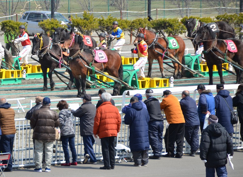馬主らが見守る中、競走馬デビューを目指して検査に臨む2歳馬=北海道帯広市で、鈴木斉撮影