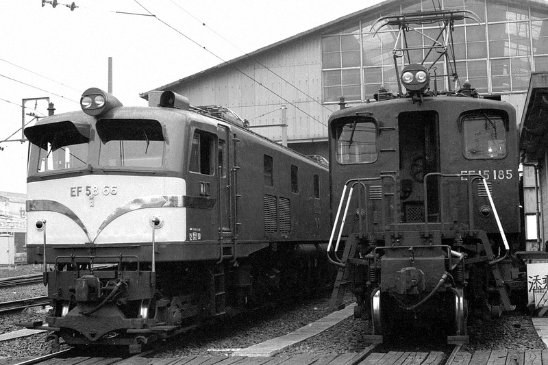 機関区で体を休めるEF58型電気機関車と、同世代のEF15型電気機関車=大阪府の竜華機関区で1982年ごろ、金盛正樹撮影