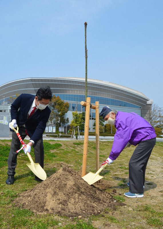 被爆アオギリ2世の木を植樹する「カラス会」の小西蔀代表(右)と鈴木健一市長=伊勢市朝熊町の伊勢フットボールヴィレッジで2020年4月16日、小沢由紀撮影