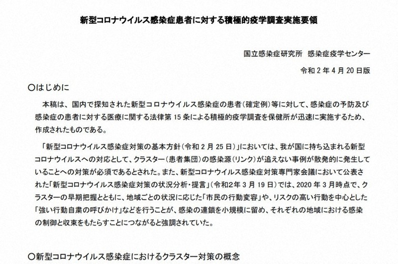 公表された実施要領