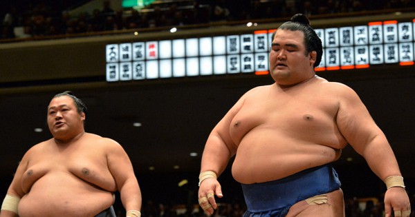 井筒親方 (豊ノ島関) 反物 端切れ　11m    相撲 井筒親方 (豊ノ島関) 反物 端切れ 11m 相撲