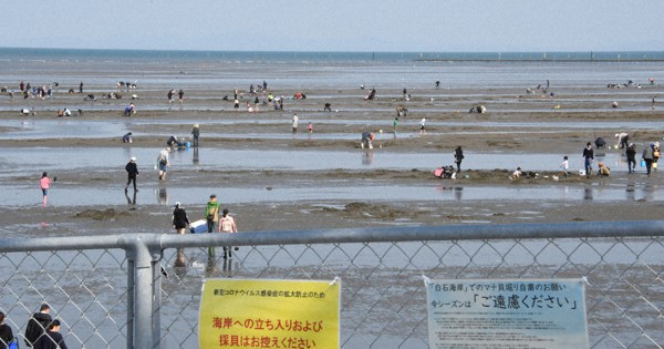 新型コロナ マテ貝掘りで海岸人だかり 町の自粛要請届かず 苅田 福岡 毎日新聞