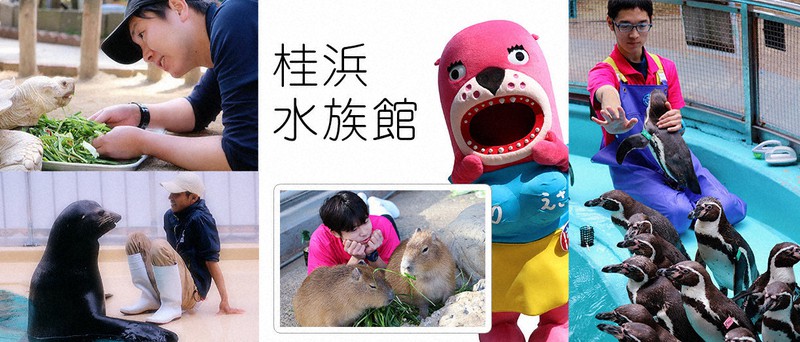 マスコットキャラクター「おとどちゃん」(中央)がつぶやくツイッターが人気の桂浜水族館