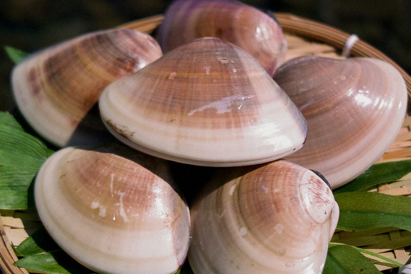 鹿島灘特産ハマグリ 規則違反の採取相次ぐ 茨城海保 パトロール強化 茨城 毎日新聞