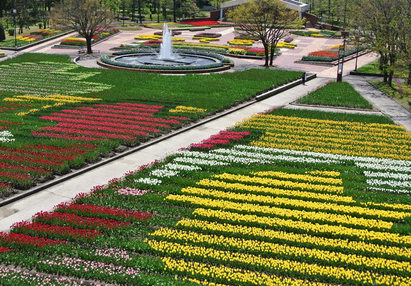 チューリップ壮観 ライブで独り占め 砺波 公園を配信 富山 毎日新聞