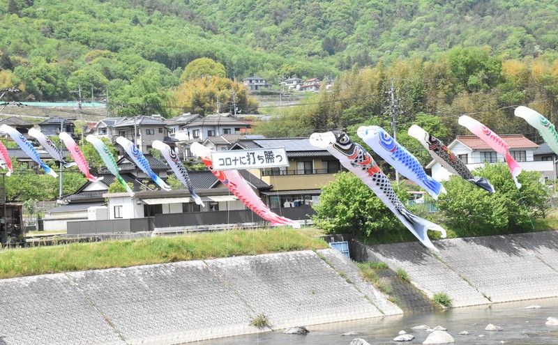 三篠川の上で風を受けて泳ぐこいのぼりと「コロナに打ち勝つ」のメッセージ=広島市安佐北区白木町三田で、手呂内朱梨撮影