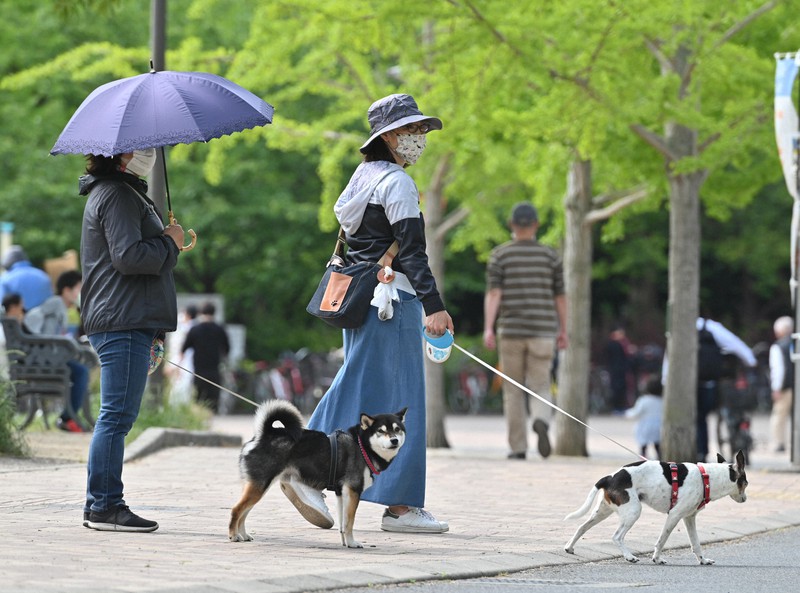 緊急事態宣言延長後初の週末 関西で一部美術館再開 少しずつ人出戻る 毎日新聞
