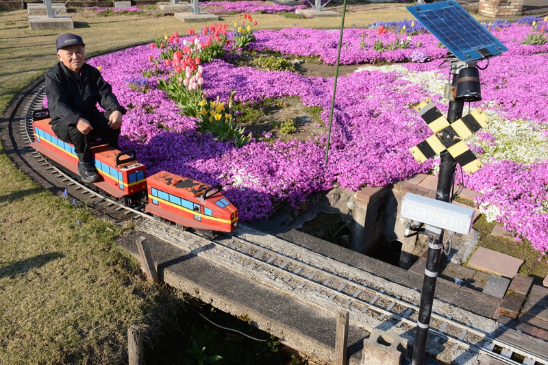 庭に走る自作の電車 童心に帰る80歳 車窓 から満開の芝桜 毎日新聞