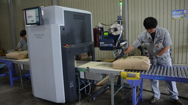 家庭の食卓 放射性物質は不検出 を知っていますか 食の情報ウソ ホント 小島正美 毎日新聞 経済プレミア