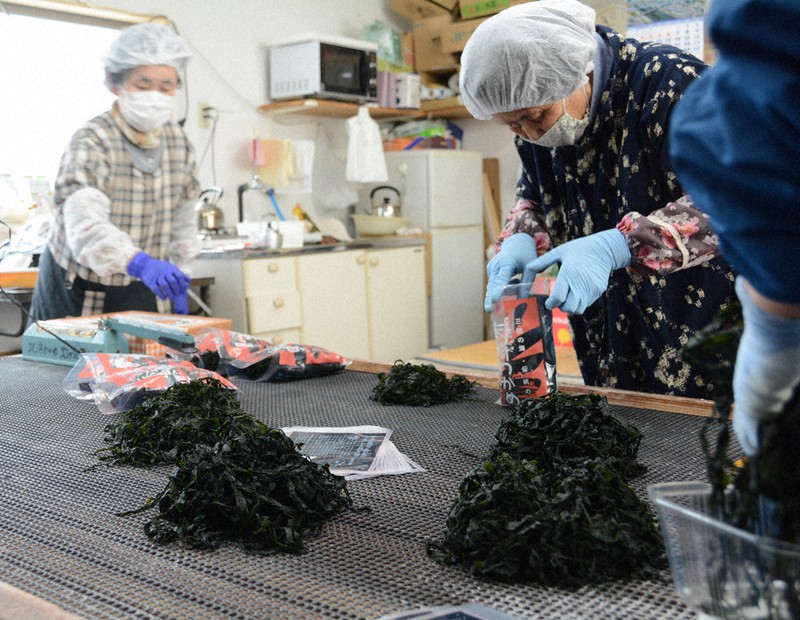 希望新聞 東日本大震災 支援者離さぬワカメ養殖 肉厚シャキシャキ ９期目発送 大船渡 末崎町 毎日新聞