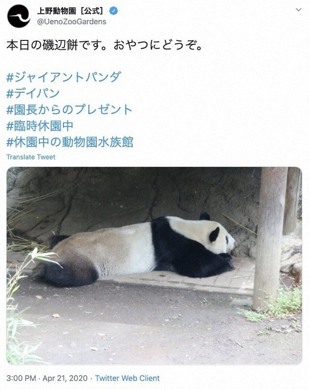 2020年4月21日の投稿