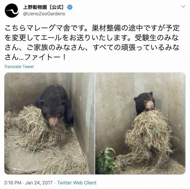 2017年1月24日の投稿