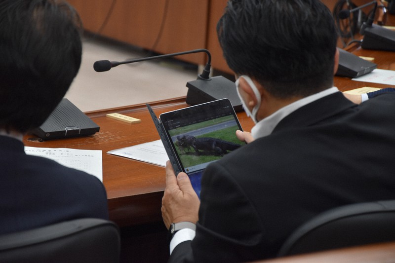 衆院内閣委員会で検察庁法改正案の審議中にタブレット端末でワニの動画を見る平井卓也・前科学技術担当相=2020年5月13日午前9時9分