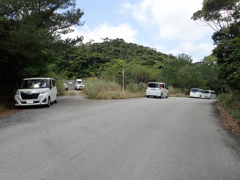 昆虫採集に訪れたレンタカーなどが並ぶやんばる国立公園内の林道=沖縄県国頭村で(環境省やんばる自然保護官事務所提供)