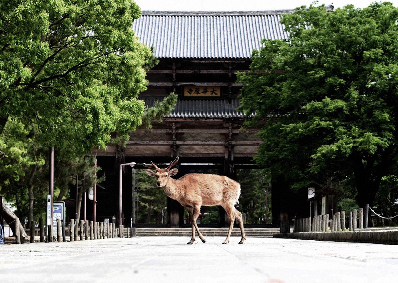 日常へそろりそろり 不安とうれしさ交錯 奈良など宣言解除から一夜明け 毎日新聞 日常へそろりそろり 不安とうれしさ交錯 奈良など宣言解除から一夜明け 毎日新聞