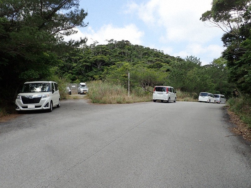 昆虫採集に訪れたレンタカーなどが並ぶ沖縄県国頭村のやんばる国立公園内の林道=環境省やんばる自然保護官事務所提供(画像の一部を加工しています)