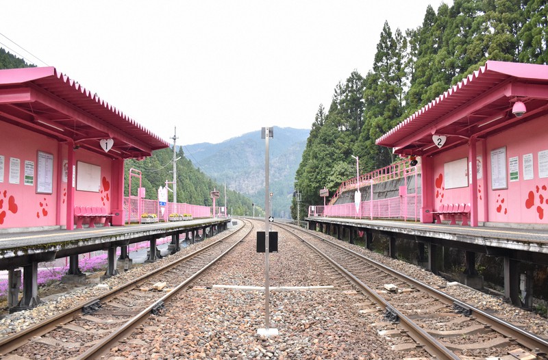 ピンクに塗装された智頭急行の恋山形駅=鳥取県智頭町で2020年4月24日午前11時17分、阿部絢美撮影