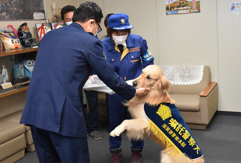 東近江署の筒居昭博署長や指導員の高畑伊津香さん(中央)にほめられる警察犬「空」=東近江市八日市緑町の東近江署で2020年5月12日午前10時35分、菅健吾撮影