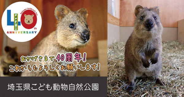 自宅で楽しむ動物園 水族館 第3回 埼玉県こども動物自然公園 休館中に迎えた40周年と世界一幸福な動物 毎日新聞