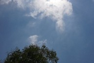 夏の日差し＝東京都内で、米田堅持撮影