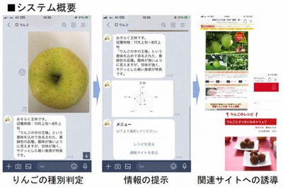 「青森県りんご判別AIボット」のシステム概要①