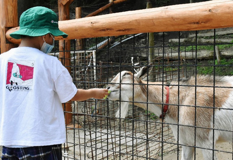 44日ぶりに再開した「ピクニカ共和国」。子どもたちはさっそくヤギへの餌やりを楽しんだ=福岡県飯塚市八木山で2020年5月23日午前10時27分、大坪菜々美撮影