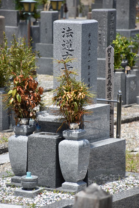 【中古】 医療×犯罪サスペンス・ファイル地獄の葬儀屋デーモン豊作 暴かれる死体の謎/秋田書店/叶精作 中古】 医療×犯罪サスペンス・ファイル地獄の葬儀屋デーモン豊作