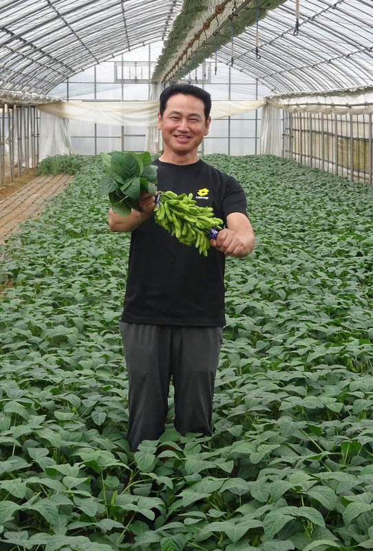 葉付き枝豆を手にする「西船橋枝豆研究会」の高橋幸雄会長=千葉県船橋市印内で2020年5月18日午後2時48分、小林多美子撮影