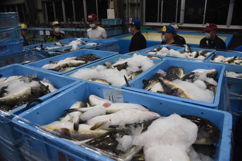 こんなおいしいものがなぜ 和牛もフグも価格低迷 生産者らの苦境続く 毎日新聞