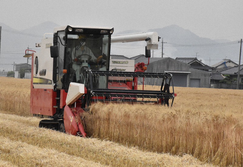 コンバインです❗ 米麦の収穫に大活躍‼️