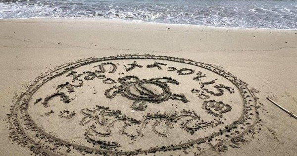 ウミガメが産卵する砂浜に メッセージ 描こう 四日市 吉崎海岸でアートコンテスト 毎日新聞