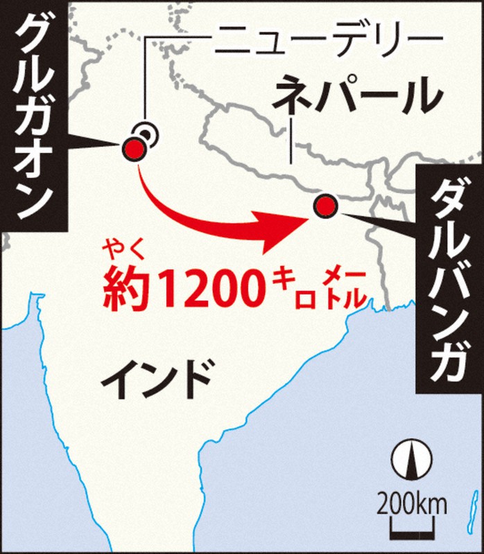 新型コロナ インドの15歳少女 けがの父を自転車の乗せ1200