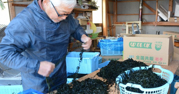 とうほく全国１位探求 岩手 養殖ワカメ生産量 品質高く栄養分豊富 かむほど味が出る 岩手 毎日新聞