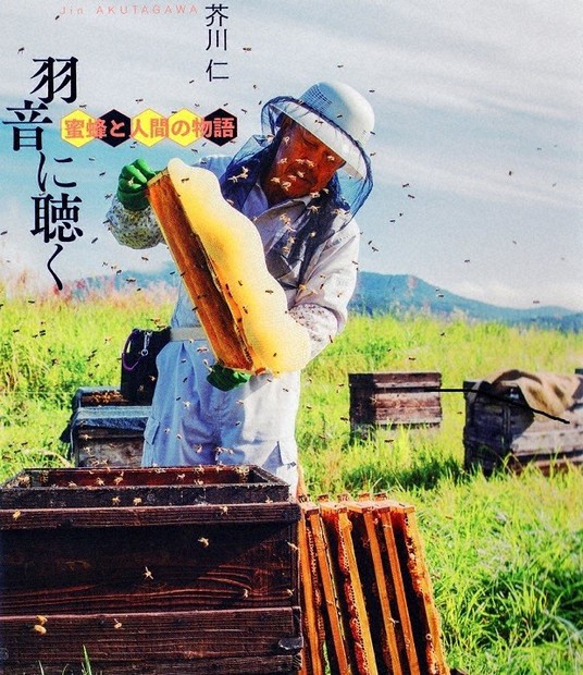 「羽音に聴く 蜜蜂と人間の物語」の表紙