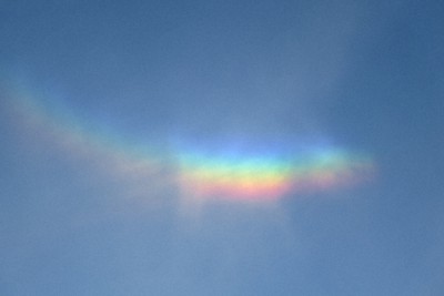 荒木健太郎さん提供