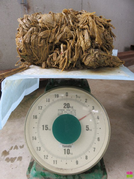 鹿にやさしい紙袋、奈良の企業が開発 ポリ袋誤食が相次ぎ | 毎日新聞