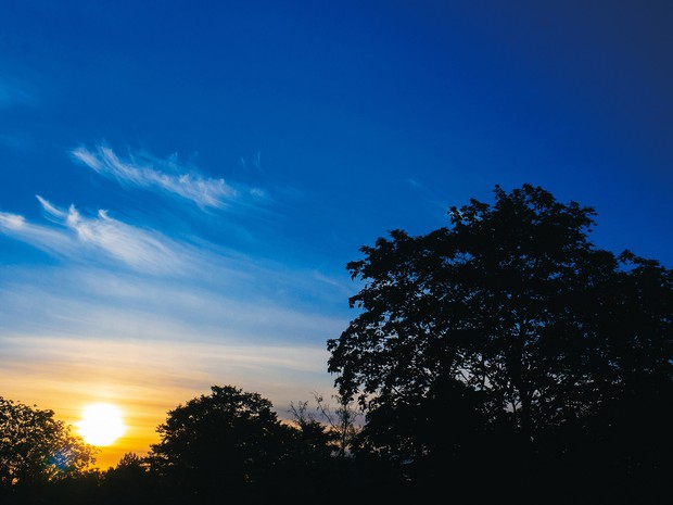 ワールドウオッチ ドイツ サマータイムの是非に注目 柿添紘光 週刊エコノミスト Online