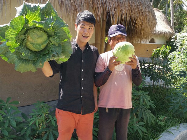 エシカルホテルでは、オーガニック野菜を栽培しています=筆者提供