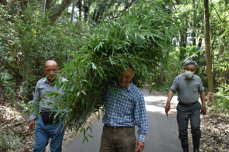 タンタンの餌にする1束5キロの竹を運ぶ岩野憲夫さん(中央)ら=神戸市北区淡河町神影で2020年6月9日、中田敦子撮影