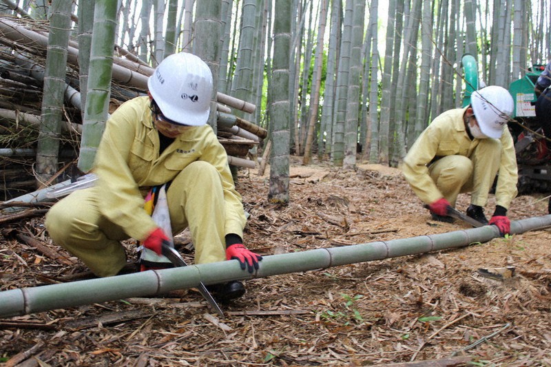 桑名工高生が竹林再生 放置林整備で地域貢献 伐採の竹で製品開発も視野 三重 毎日新聞
