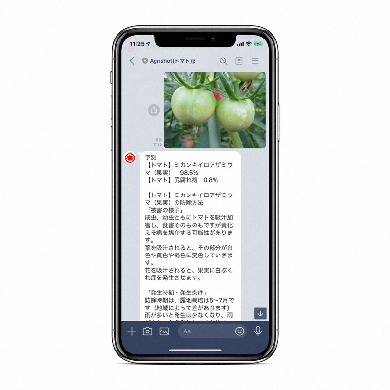 送られたきたトマトの写真をもとに、病害虫を診断して返信した一例=アグリショット提供