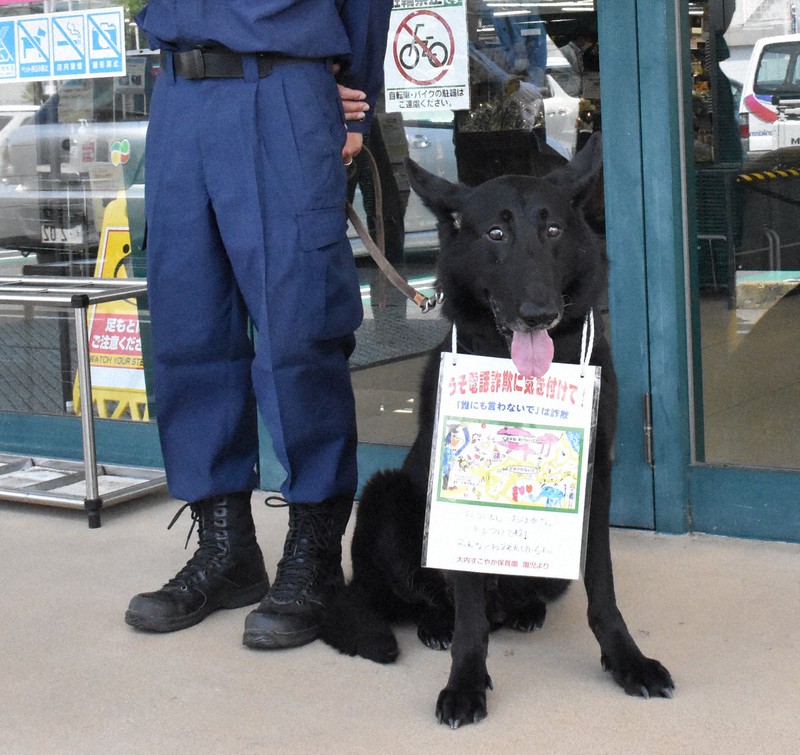 高齢警察犬ヤス 最後のお勤め うそ電話詐欺に注意喚起 お座りでアピール 毎日新聞