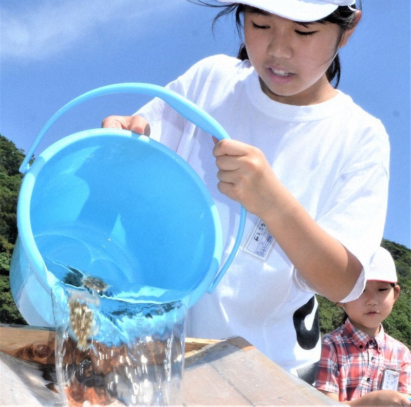 早く大きく育って 児童がヒラメとカサゴの稚魚放流 延岡 熊野江小 宮崎 毎日新聞
