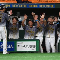 プロ野球開幕戦 巨人－阪神 東京ドーム [写真特集18/18] | 毎日新聞
