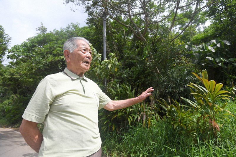 自宅近くの森を前に戦争時を振り返る仲泊栄吉さん。「昔の仲間も、もういなくなってしまった」=沖縄県東村で2020年6月19日午前10時3分、津村豊和撮影